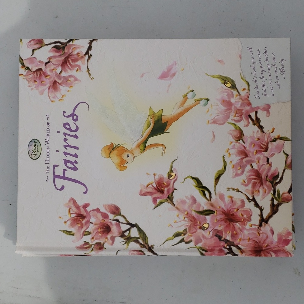 Disney "The Hidden World of Fairies" book (1 books Left)